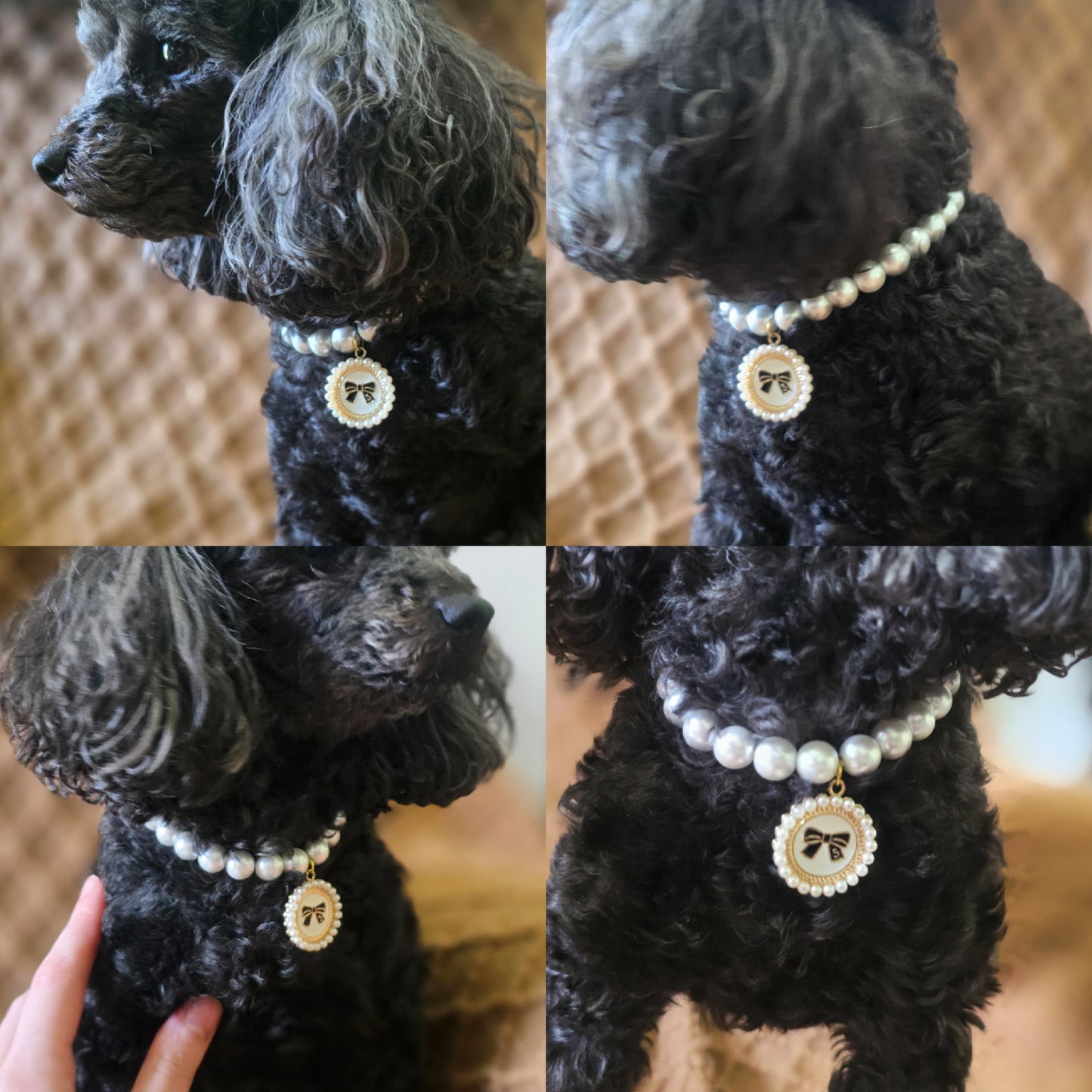 Luxury Pet Necklace - Paws & Pearls 🤍