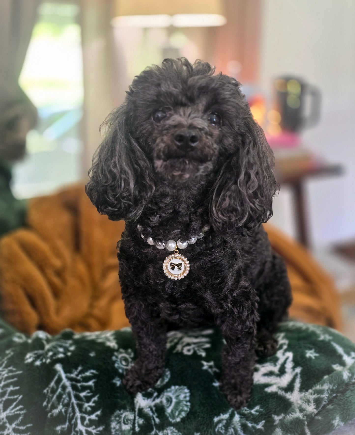 Luxury Pet Necklace - Paws & Pearls 🤍